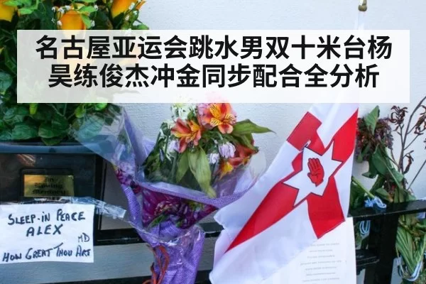 名古屋亚运会跳水男双十米台杨昊练俊杰冲金同步配合全分析